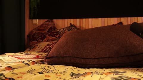 Snapshot of _northern_girl_ chatting on 01.21.25 Lady Jess from house of Dragonborns online show from 01.21.25