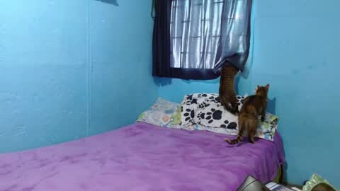 Sammy online show from 02.26.25