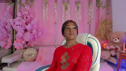 Sammy online show from 11.11.25