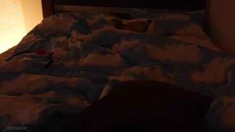 Snapshot of _sensualia_ chatting on 09.09.25 Lia online show from 09.09.25