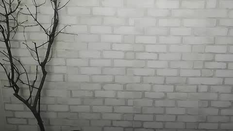 Rachel online show from 12.14.24