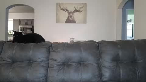 SophiaGraceKnight online show from 10.03.25