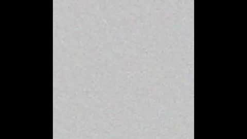 _tammarra_ online show from 10.03.25