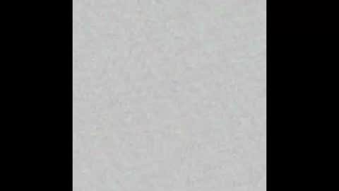 _tammarra_ online show from 02.03.26