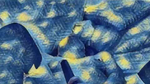 Evi online show from 12.11.24