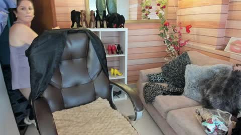 Sol online show from 03.31.26