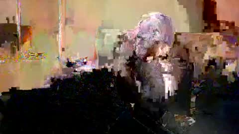 Nicole  Thomas  Dave online show from 05.20.26