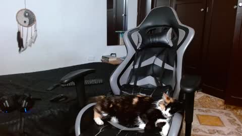 aarman online show from 01.17.25