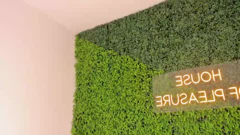 A B B Y online show from 03.08.25