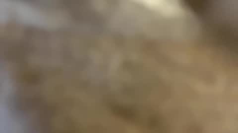 ABBY online show from 12.03.24