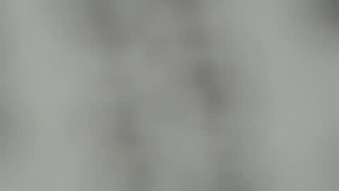 ABBY online show from 12.22.24