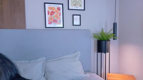 abiehils online show from 03.11.26