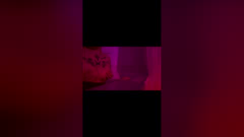 abigrace online show from 04.10.26