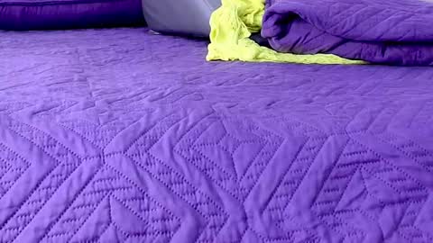 Abigail online show from 01.08.26