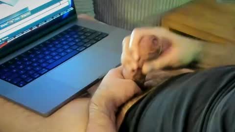 ACHTINCH online show from 01.15.26