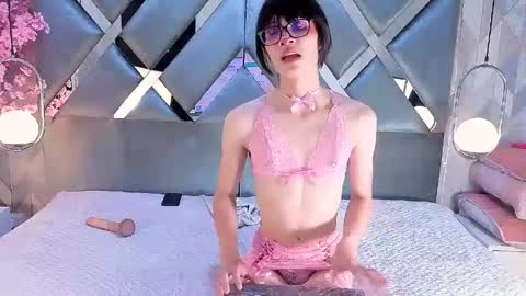    online show from 06.08.26