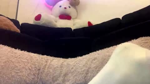 ENIGMA TZX5114 online show from 02.18.25