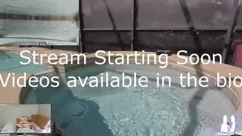 Adam And Eve online show from 03.02.25