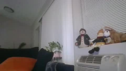 Britishadam online show from 03.01.26