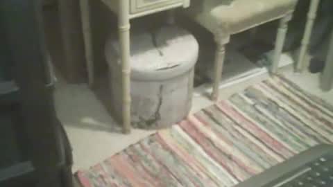 adamsny online show from 11.04.25