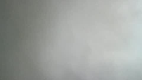 Snapshot of adi2019 chatting on 01.08.25 adi2019 online show from 01.08.25