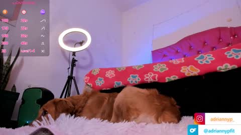 adrianny online show from 09.18.25