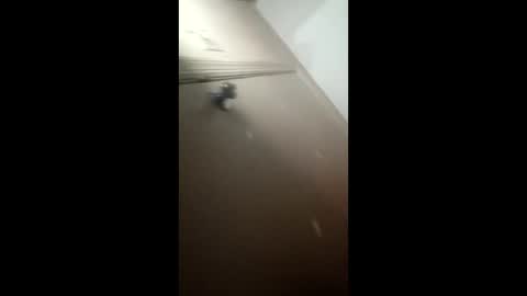 Snapshot of afnuke000 chatting on 03.04.26 afnuke000 online show from 03.04.26