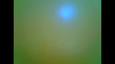 Snapshot of afrikana005 chatting on 04.05.26 afrikana005 online show from 04.05.26