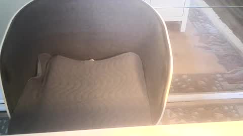 Snapshot of ahmole chatting on 01.10.25 Ole online show from 01.10.25