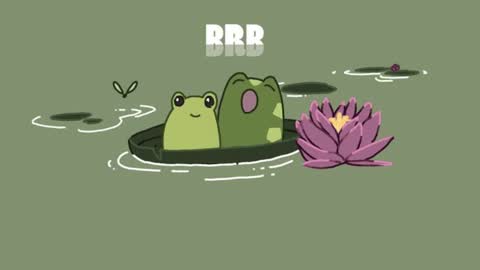 Catalina online show from 02.22.25