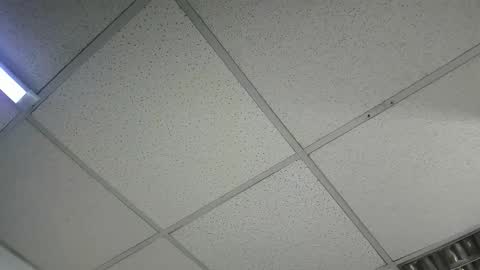 Aisha online show from 01.16.26