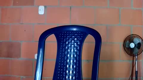 aisha koswell3 online show from 01.12.26