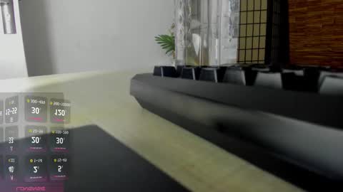 Snapshot of aisharouhi chatting on 10.19.25 Aisha online show from 10.19.25