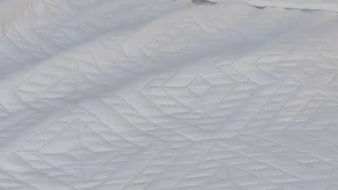 Snapshot of aixa_hill1 chatting on 03.04.25 online show from 03.04.25