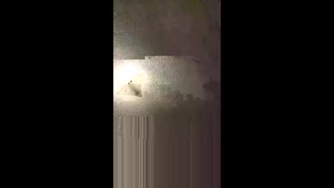 aj297914 online show from 02.08.26