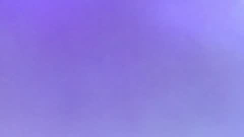 Alaia online show from 10.24.25