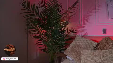 Alana online show from 03.17.26