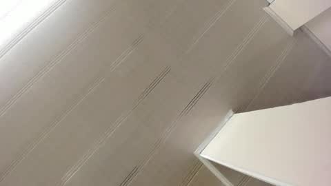 Maeve  online show from 01.07.25