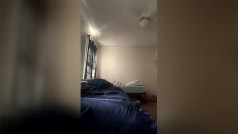 Dinky online show from 04.26.26