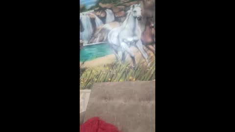 albina online show from 02.09.26