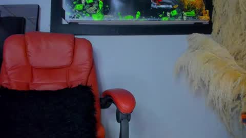 Snapshot of aleja_rogers996 chatting on 01.24.25 Alejandra online show from 01.24.25