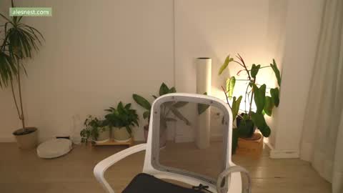 Ale online show from 04.12.26