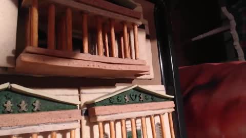 Snapshot of alex_amazing chatting on 01.28.25 Alex Amazing online show from 01.28.25