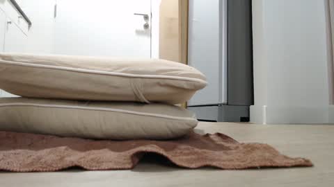 Snapshot of alex_nicha chatting on 10.18.25 Nicha online show from 10.18.25