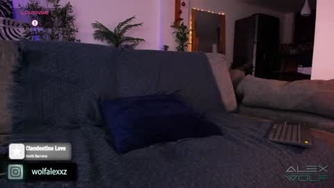 Alex Wolf online show from 01.16.25