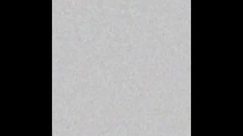 Alex Dimartino online show from 09.13.25