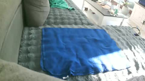 Doggystyle online show from 02.15.26