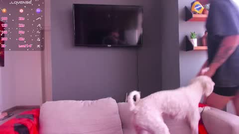 Alexia online show from 02.08.26