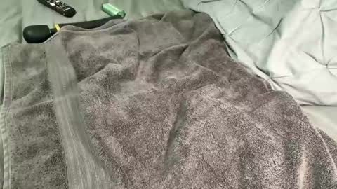 Alexis online show from 12.13.24