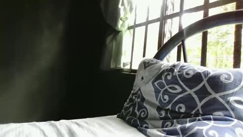 Alex online show from 12.29.24